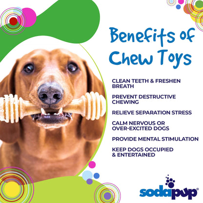 Honey Bone Nylon Dog Toy for Aggressive Chewers | Indestructible | USA Made
