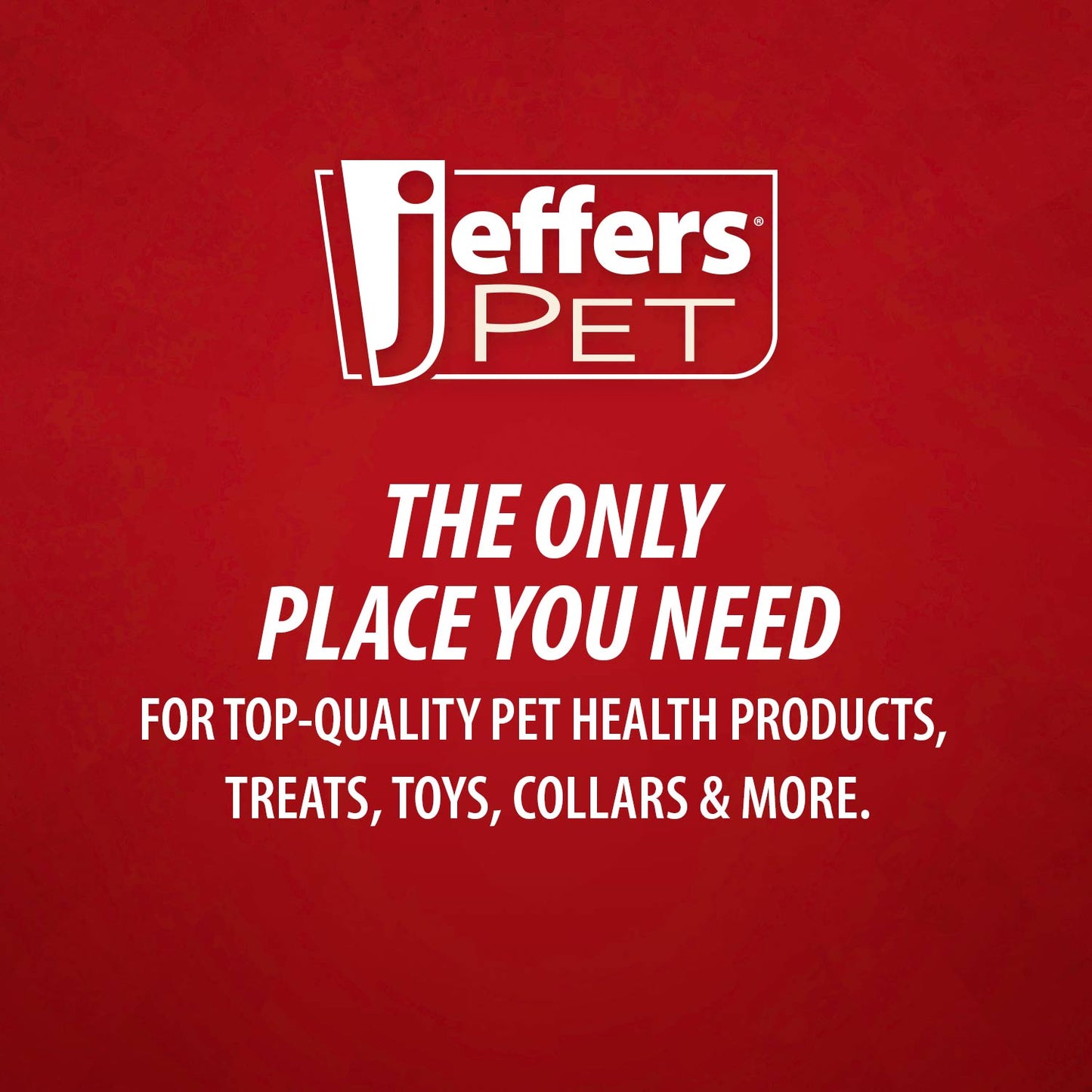 Jeffers Rolled Leather Dog Collars with Brass Hardware