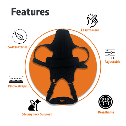 NeoAlly Dog Back Brace for Dogs with Inserts for Extra Support