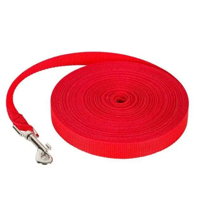 Pet Leashes Rope Outdoor Training Running Dog Leash Belt  Dogs Lead For Small And Large Dog Long Lead-Training Leash/Long Line Dog Leash Great for Dog/Puppy